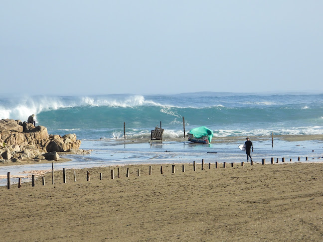 Escuela de Surf Salinas Experience - Papudo