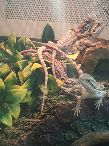 Pet Supply Store «PetSmart», reviews and photos, 5001 Sergeant Rd, Sioux City, IA 51106, USA