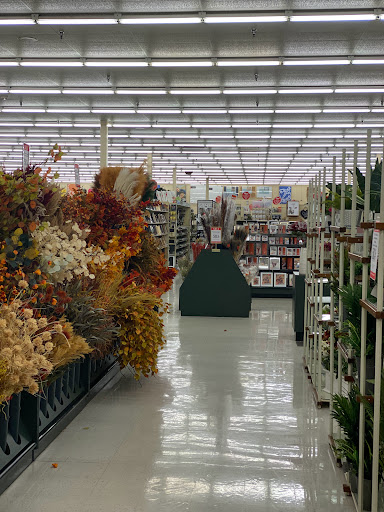 Craft Store «Hobby Lobby», reviews and photos, 16880 US-441, Mt Dora, FL 32757, USA