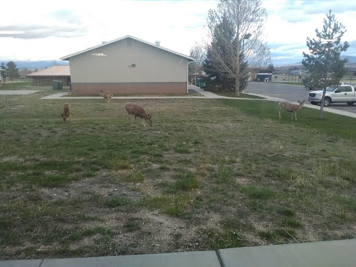 American Legion Department of Montana