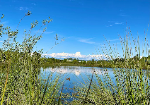 Fairview Wetlands Scenic Trail