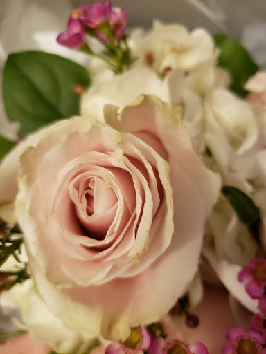 Florist «Back Bay Florist», reviews and photos, 90 Massachusetts Ave, Boston, MA 02115, USA