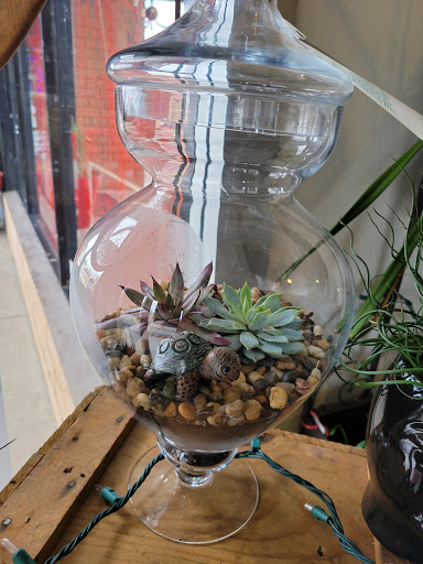 Florist «Flowers By Patti», reviews and photos, 3430 Lakeside Dr, Reno, NV 89509, USA