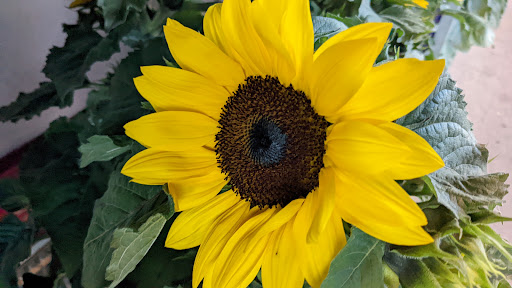 Warehouse club «BJ’s Wholesale Club», reviews and photos, 40 Black Rock Turnpike, Fairfield, CT 06825, USA