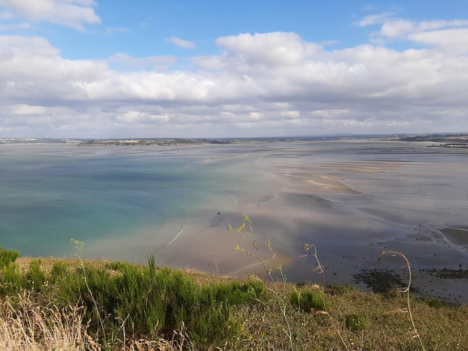 Photo n° 2 de l'avis de REGIMBEAU.l fait le 12/08/2020 à 09:42