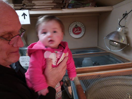 Garden Center «Animals and Gardens Unlimited», reviews and photos, 14 Jacobstown Rd, New Egypt, NJ 08533, USA