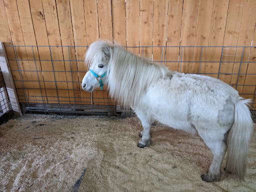 Amusement Center «Maris Farms», reviews and photos, 25001 Sumner Buckley Hwy, Buckley, WA 98321, USA