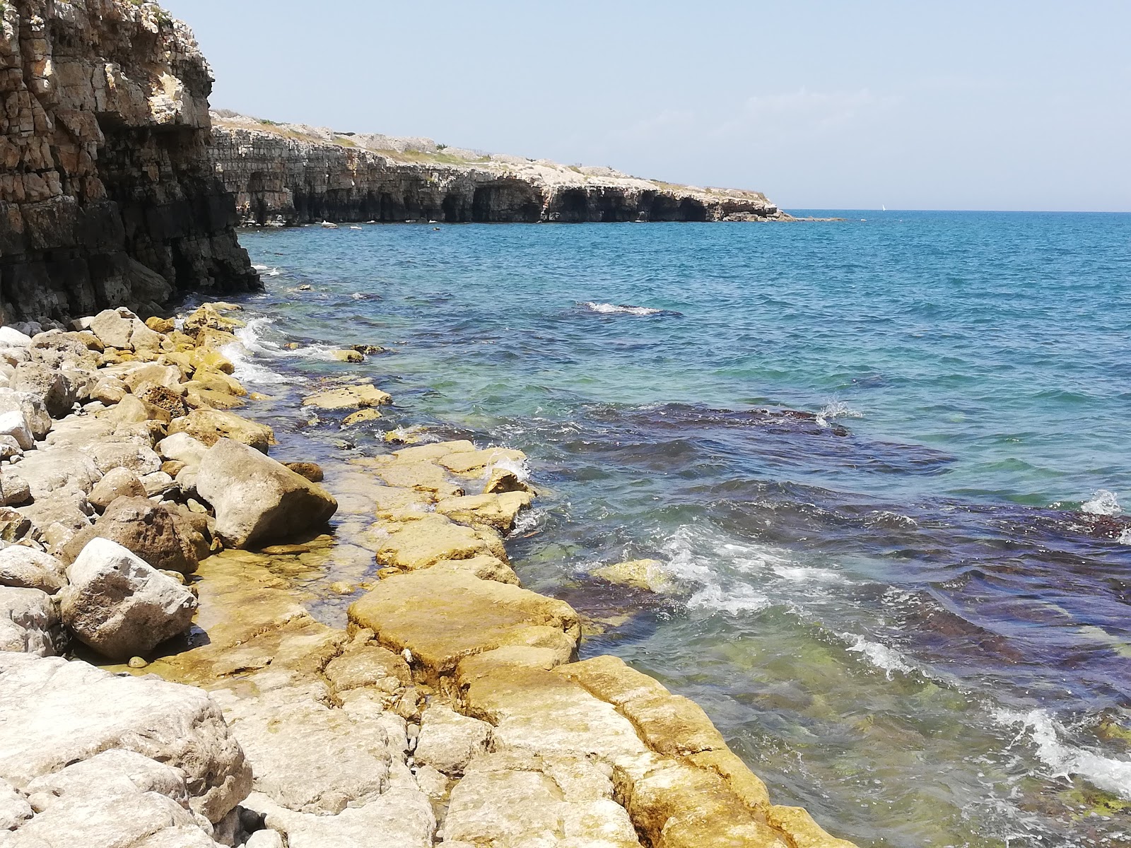 Φωτογραφία του Ripalta beach με επίπεδο καθαριότητας εν μέρει καθαρό