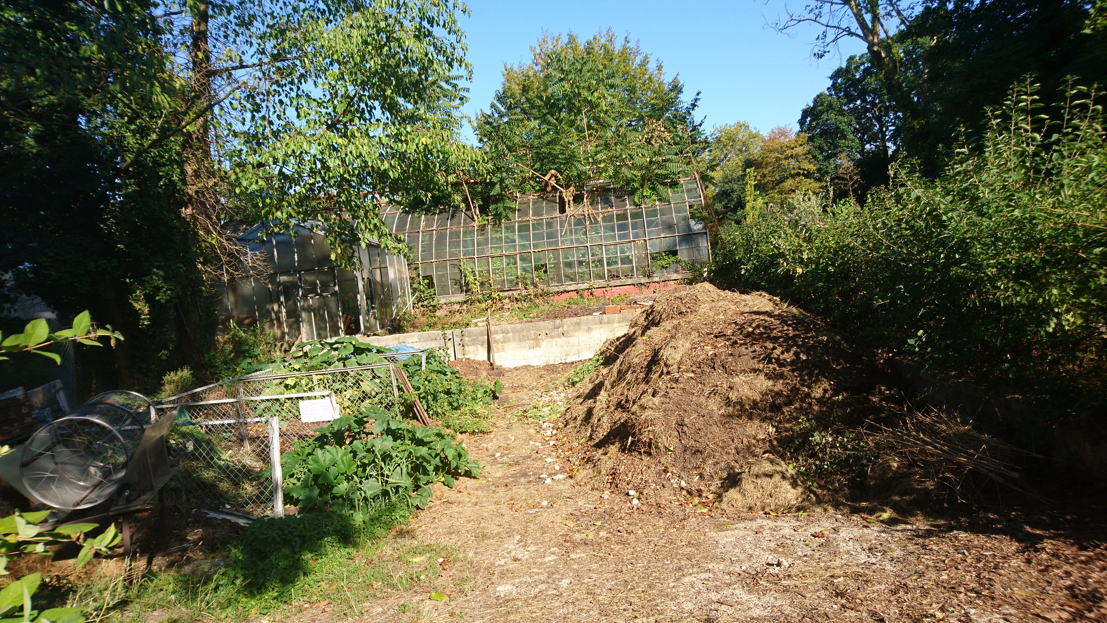 Photo n° 9 de l'avis de Yami.o fait le 05/09/2018 à 12:03