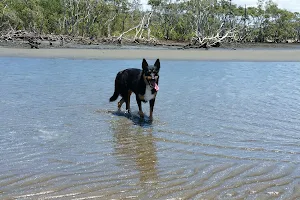 Nudgee Beach Dog Park image