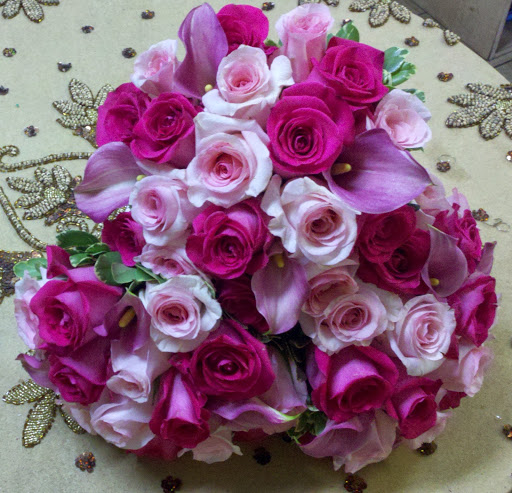 Plant Nursery «A & S Whitestone Nursery», reviews and photos, 2302 Francis Lewis Blvd, Whitestone, NY 11357, USA