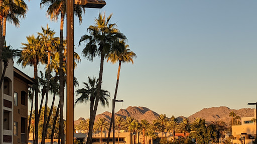 Shopping Mall «Town and Country Shopping Center», reviews and photos, 2021 E Camelback Rd, Phoenix, AZ 85016, USA