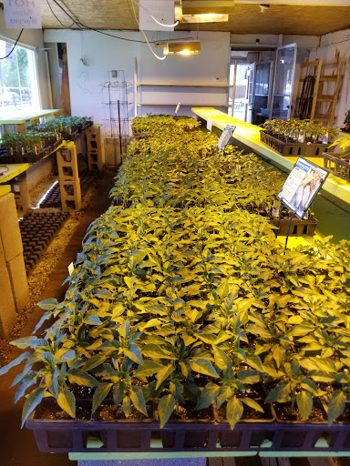 Florist «Lyndhurst Florist», reviews and photos, 5268 Mayfield Rd, Lyndhurst, OH 44124, USA