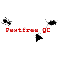 Pestfree QC - Car repair in , Davenport - Rated 4.8/5