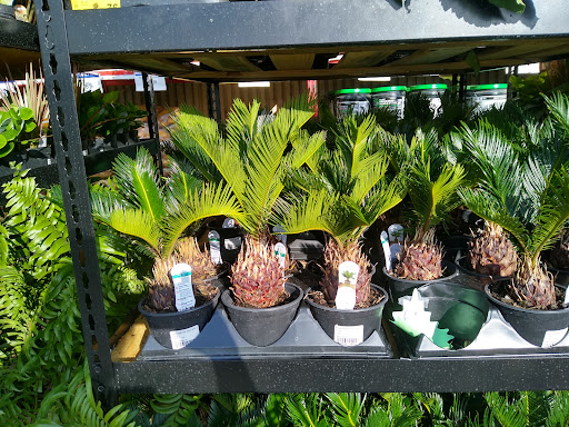 Department Store «Rural King», reviews and photos, 2960 E 10th St, Jeffersonville, IN 47130, USA