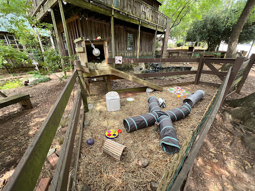 Nature Preserve «Autrey Mill Nature Preserve & Heritage Center», reviews and photos, 9770 Autrey Mill Rd, Johns Creek, GA 30022, USA