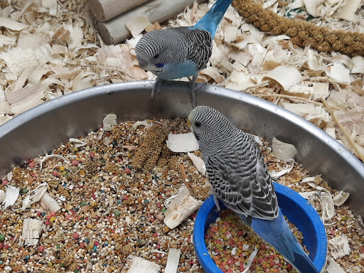 Pet Supply Store «Pet Expo Distributors», reviews and photos, 1800 Adams St, Mankato, MN 56001, USA