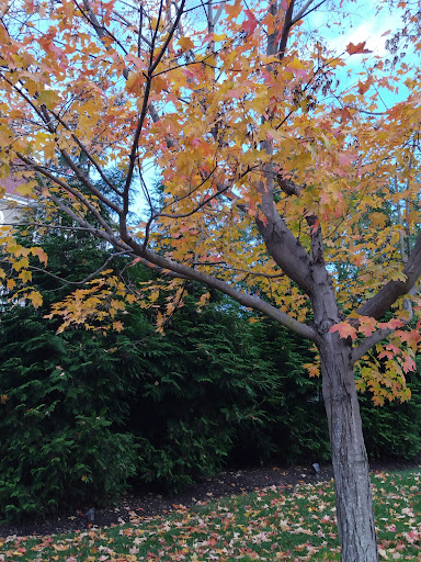 Golf Course «Hudson National Golf Course», reviews and photos, 40 Arrowcrest Drive, Croton-On-Hudson, NY 10520, USA