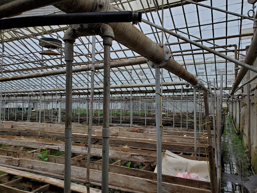 Florist «Kinsch Village Florist & Garden Center», reviews and photos, 301 Johnson St, Palatine, IL 60067, USA