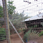 Photo n°29 de l'avis de Santi.a fait le 02/06/2019 à 12:50 sur le  Agriturismo Masseriairisi à Lamezia Terme