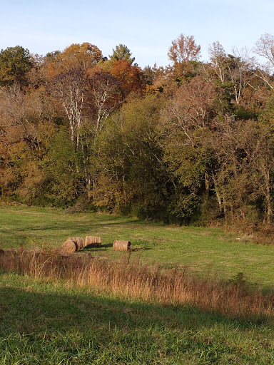 RV Park «Bluewater Resort and RV Campground», reviews and photos, 220 Bluewater Campground Rd, Dayton, TN 37321, USA