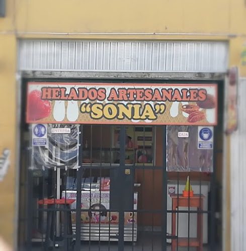 Opiniones de Helados Artesales Sonia en Ica - Heladería