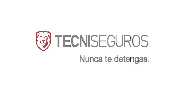 Tecniseguros - Agencia de seguros