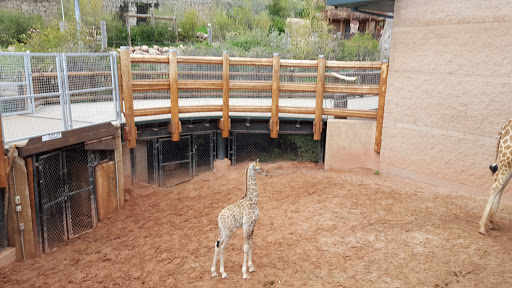 Zoo «Cheyenne Mountain Zoo», reviews and photos, 4250 Cheyenne Mountain Zoo Rd, Colorado Springs, CO 80906, USA