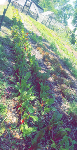 Farm «Sweetwater Organic Community Farm», reviews and photos, 6942 W Comanche Ave, Tampa, FL 33634, USA