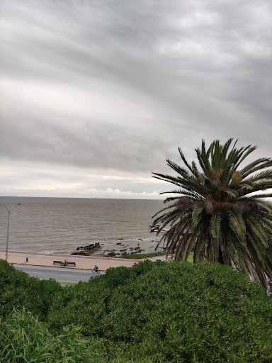 Rambla De Montevideo