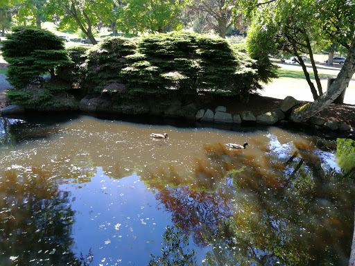 Ice Cream Shop «Ice Cream Social», reviews and photos, 2914 6th Ave, Tacoma, WA 98406, USA