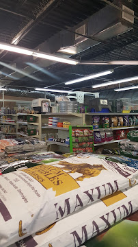 Fox's Feed Depot - Photo 3 - Car repair in Odessa, FL, Tampa