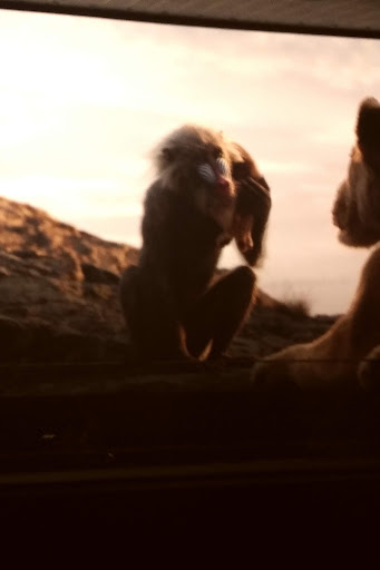 Movie Theater «Galaxy Cannery Luxury+ Theatre», reviews and photos, 2121 E Craig Rd, North Las Vegas, NV 89030, USA