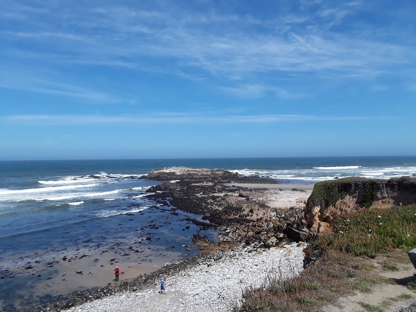 Pescadero Beach的照片 具有非常干净级别的清洁度