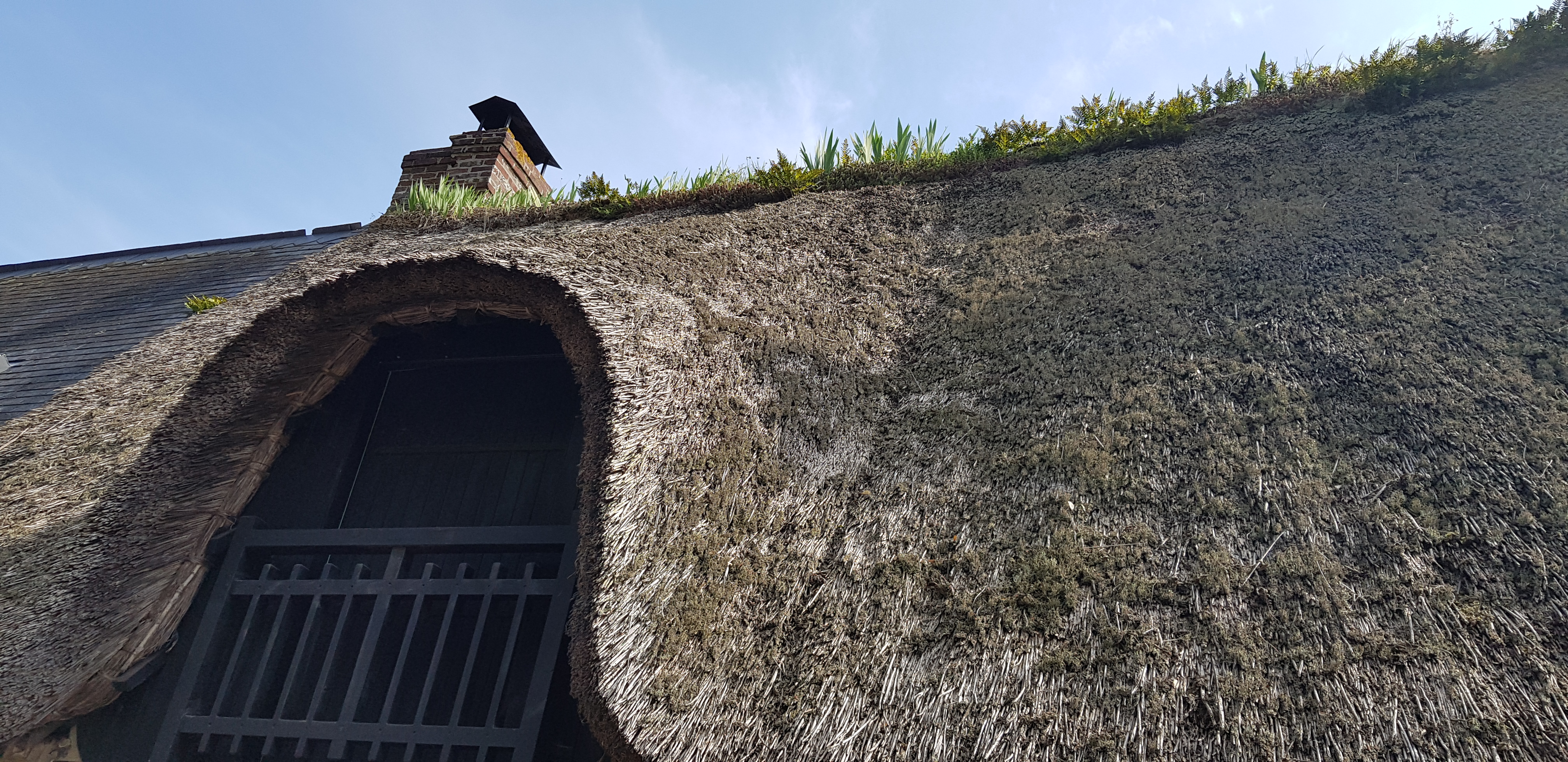 Photo n° 19 de l'avis de beatrice.r fait le 08/04/2019 à 15:08