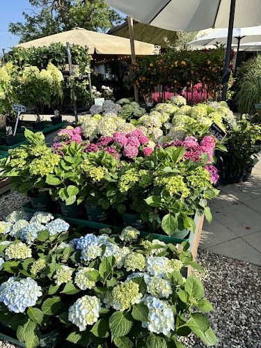 Telefonnummer for Uganda Ismejeri