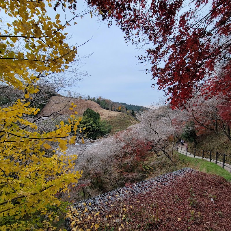 四季桜公園
