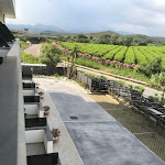 Photo n°6 de l'avis de Salvatore.u fait le 25/06/2023 à 15:10 sur le  PM HOTEL CATANZARO ALBERGO SOCIALE à Catanzaro