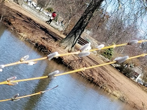 Park «Roosevelt Park», reviews and photos, Roosevelt Dr, Edison, NJ 08837, USA