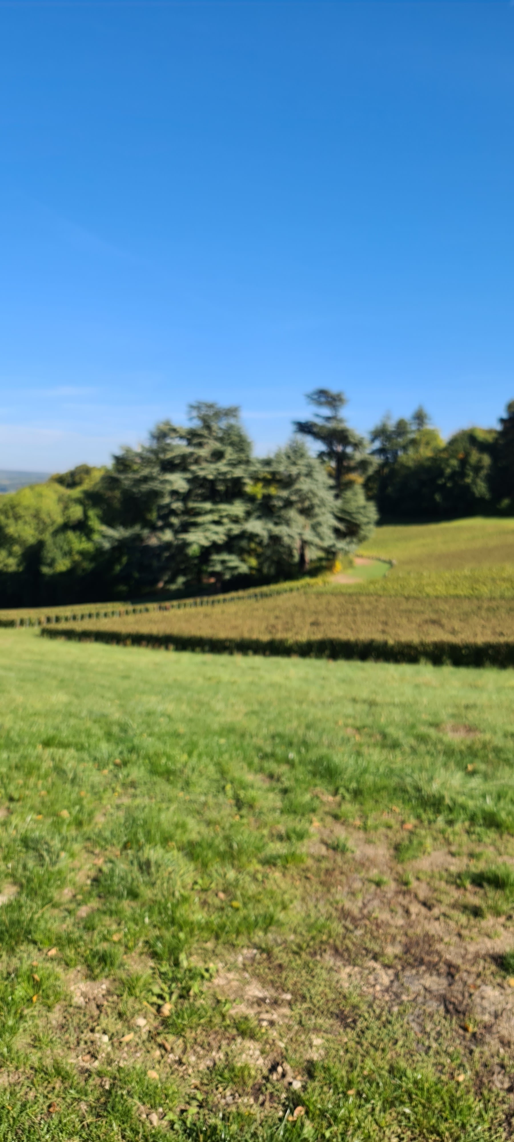 Photo n° 48 de l'avis de V... fait le 04/10/2022 à 16:31