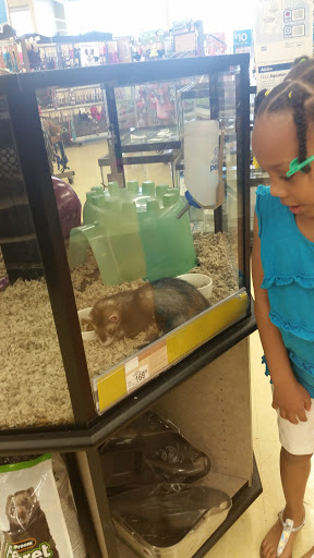 Pet Supply Store «Petco Animal Supplies», reviews and photos, 8404 Eager Rd b, Brentwood, MO 63144, USA