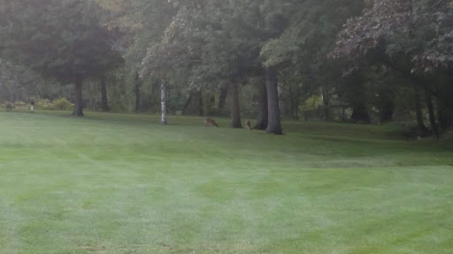 Golf Course «Cherry Ridge Golf», reviews and photos, 1211 W River Rd N, Elyria, OH 44035, USA