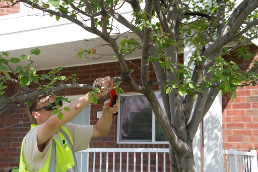 Landscape Architect «Maple Crest Landscape», reviews and photos, 2425 Hwy 55, Medina, MN 55340, USA