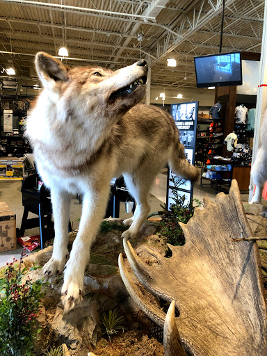 Outdoor Sports Store «Field & Stream», reviews and photos, 24600 Katy Fwy Ste 1100B, Katy, TX 77493, USA