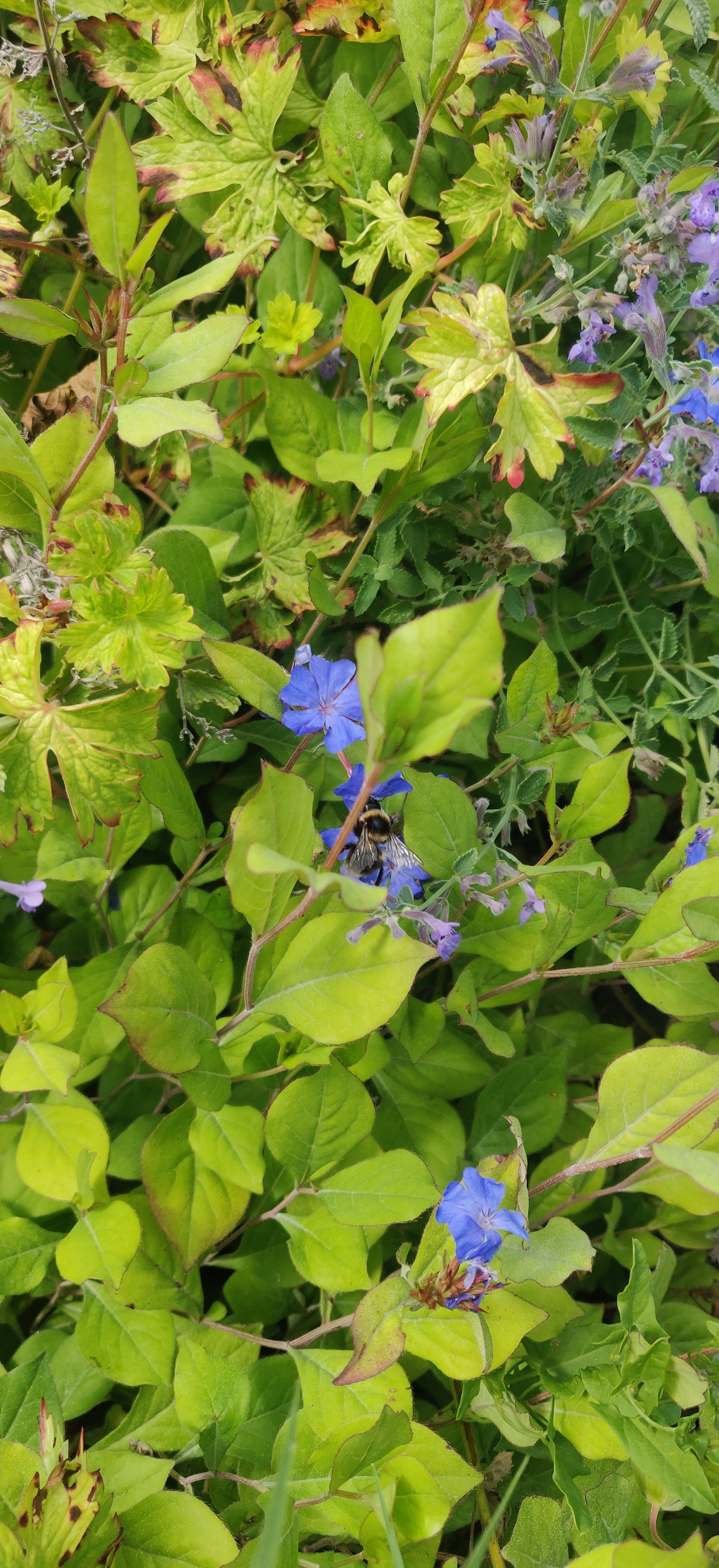 Photo n° 3 de l'avis de guillaume.A fait le 24/07/2021 à 15:13