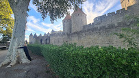 Château Comtal du Restaurant Le Jardin De La Tour du Plô à Carcassonne - n°2