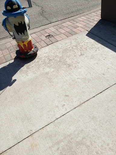 Performing Arts Theater «The Skokie Theatre», reviews and photos, 7924 Lincoln Ave, Skokie, IL 60077, USA