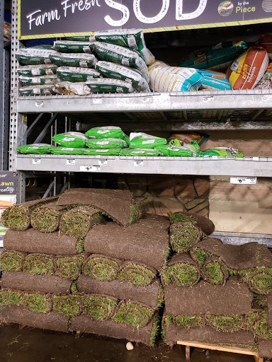 Home Improvement Store «The Home Depot», reviews and photos, 225 Soscol Ave, Napa, CA 94559, USA