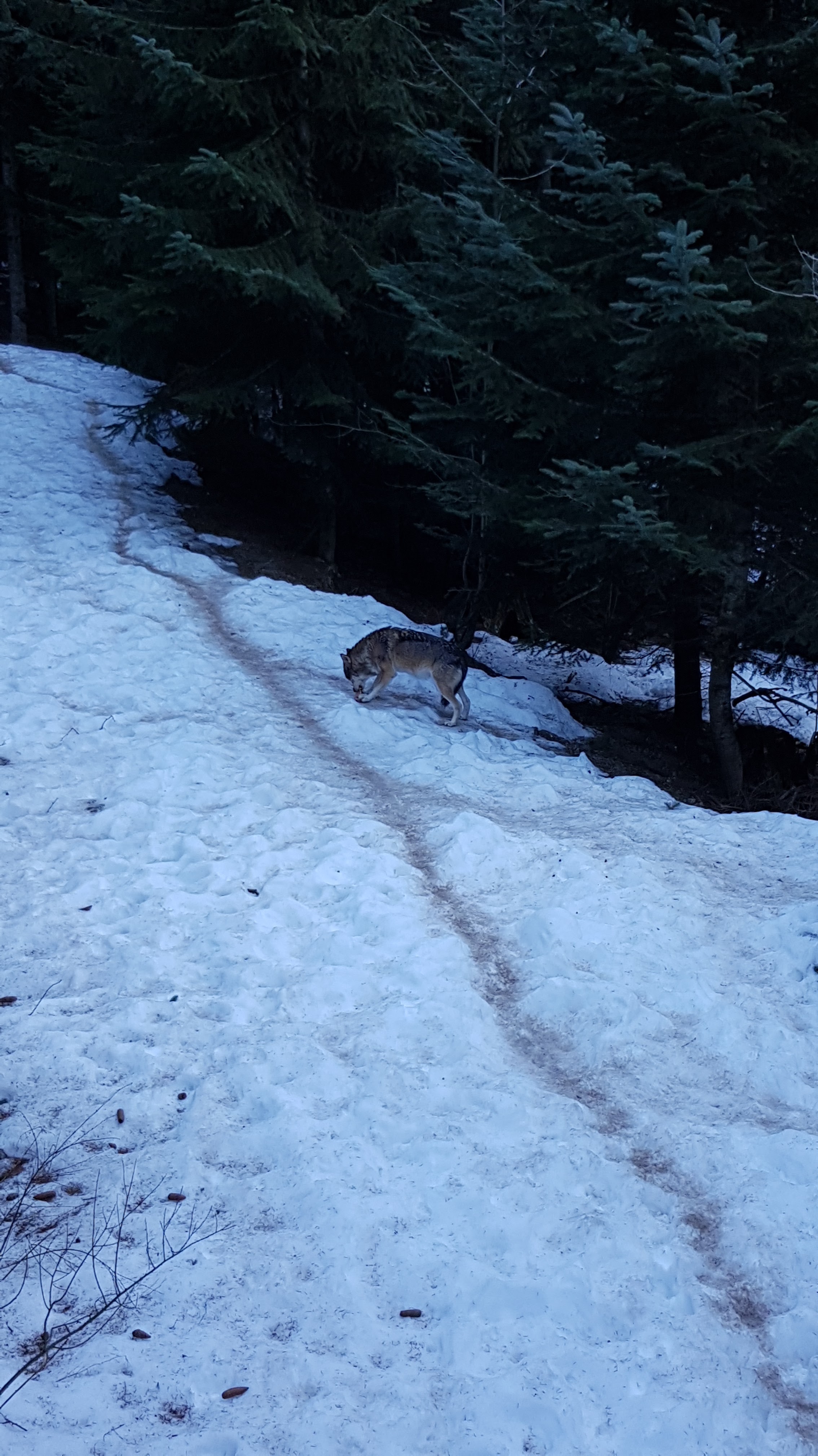Photo n° 3 de l'avis de Greg.6 fait le 29/01/2020 à 10:11