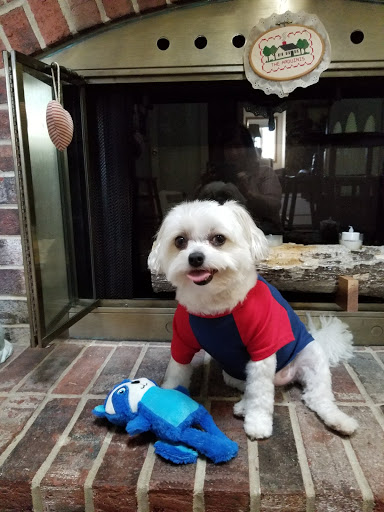 Pet Supply Store «PetSmart», reviews and photos, 3210 E Lynn Blvd, Sterling, IL 61081, USA